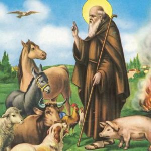 Rappresentazione artistica di Sant'Antonio Abate